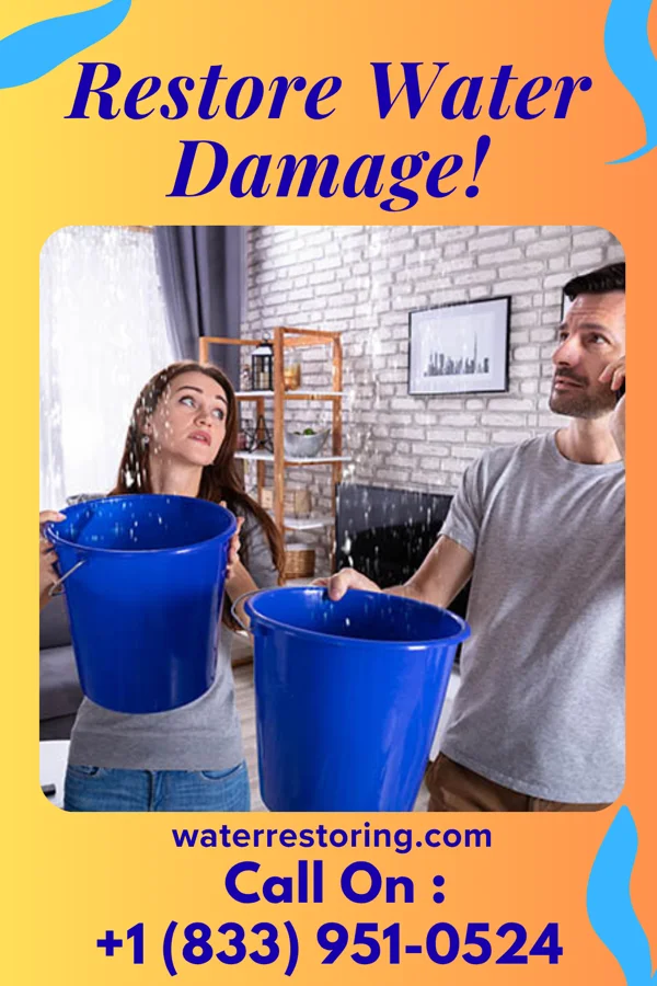water restoration Sterling Flood Damage Company Betsy Layne